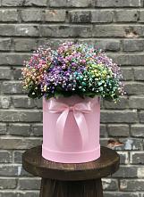 Цветочная композиция из Гипсофила и Розы в шляпной коробке #REPLACE_PRED# Карачаевске