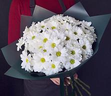 Букет цветов из:  Хризантемы #REPLACE_PRED# Карачаевске