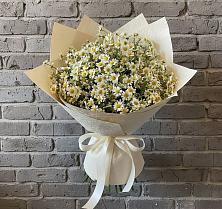 Букет цветов из:  Ромашки #REPLACE_PRED# Карачаевске