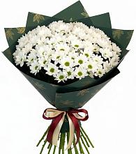 Букет цветов из:  Хризантемы #REPLACE_PRED# Карачаевске