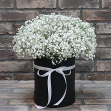 Цветочная композиция из Гипсофила в шляпной коробке в Карачаевске
