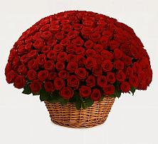 Премиум букет из: Розы в Карачаевске