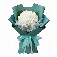 Букет цветов из:  Гортензия #REPLACE_PRED# Карачаевске